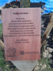 OK-001-boom14-8b92a02a-3ac4-4a67-acd1-8ff582e115fe