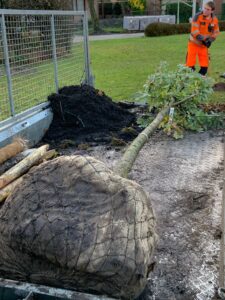 OK-001-boom2-7e0c8ef9-209c-46e6-a56d-f1852bcfce53